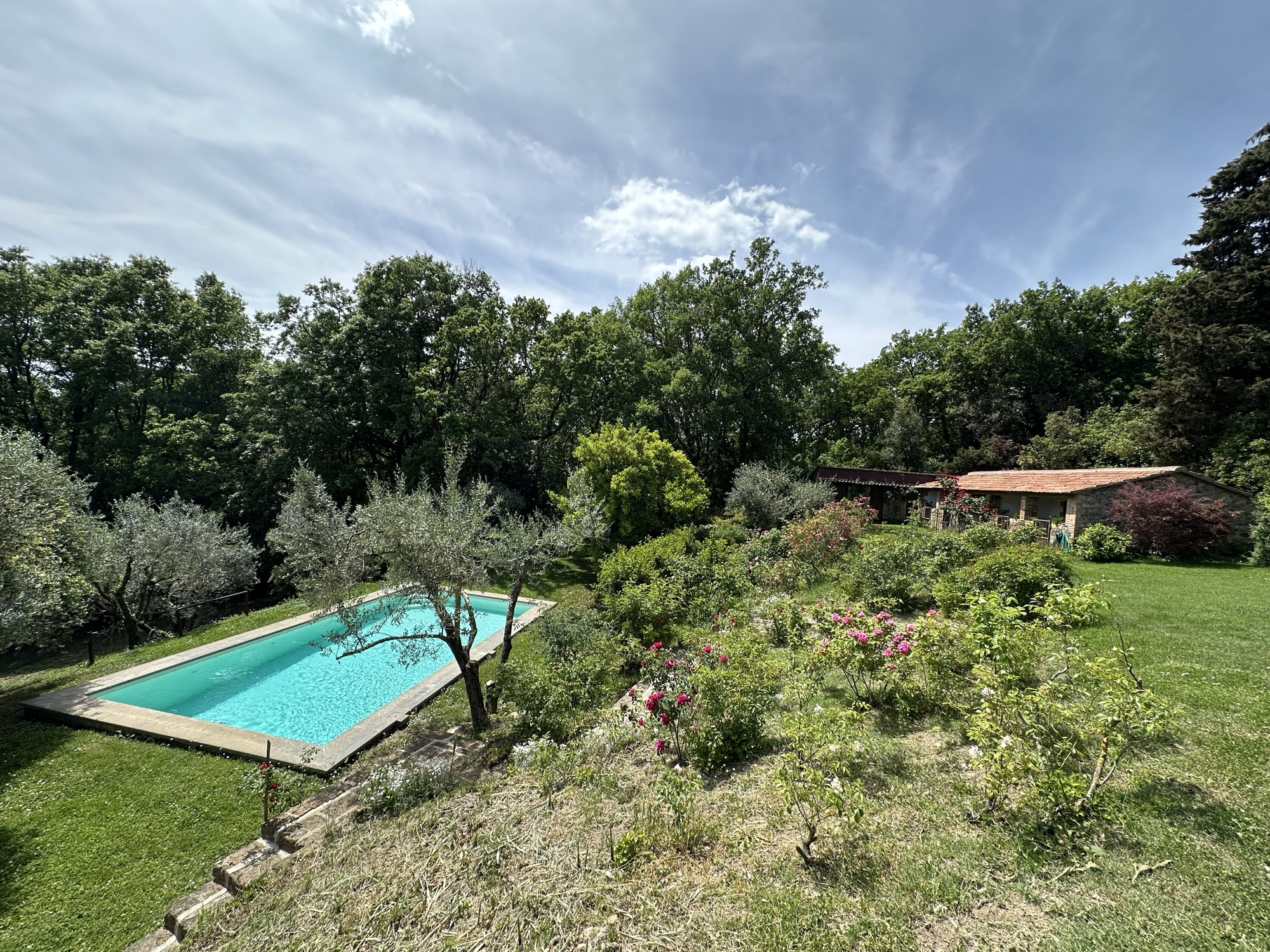 Blick über den Garten mit Pool und Nebengebäude